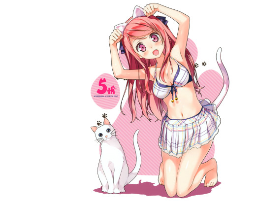 995574 (a): :3500x2800